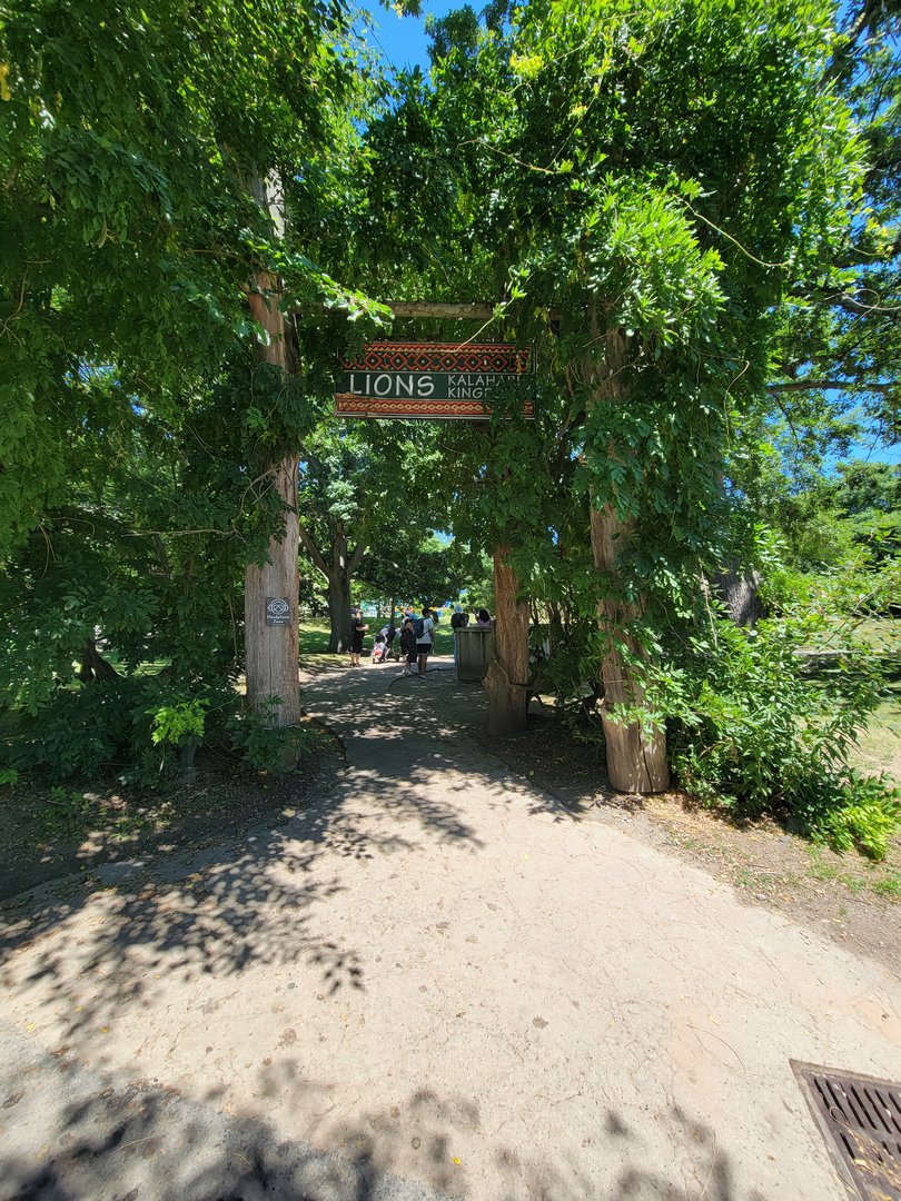Franklin Park 7/22 - Kalahari Kingdom, path to lions