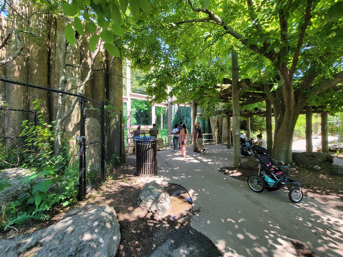 Franklin Park 7/22 - Kalahari Kingdom, tiger viewing