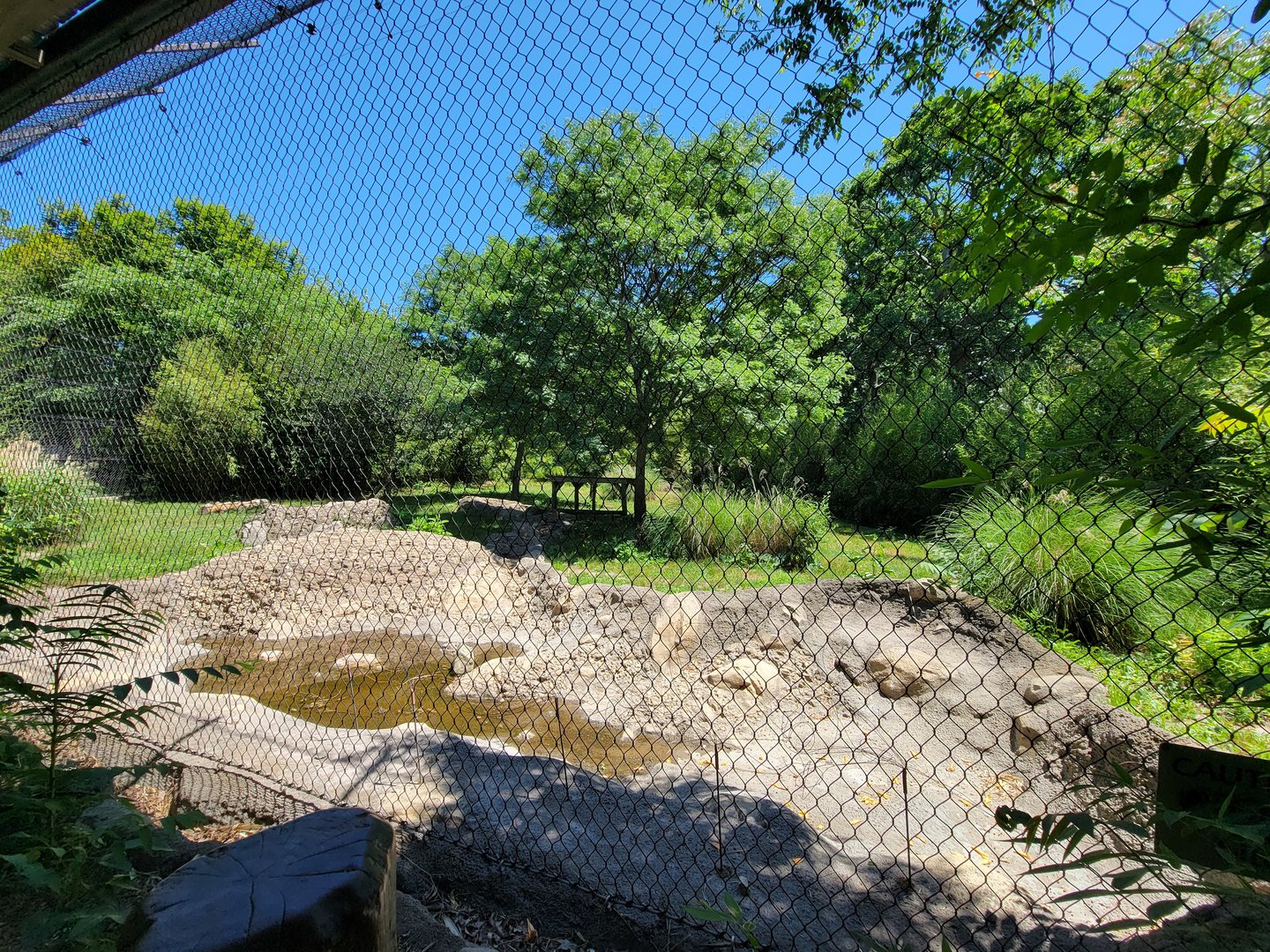 Franklin Park 7/22 - Kalahari Kingdom, tiger