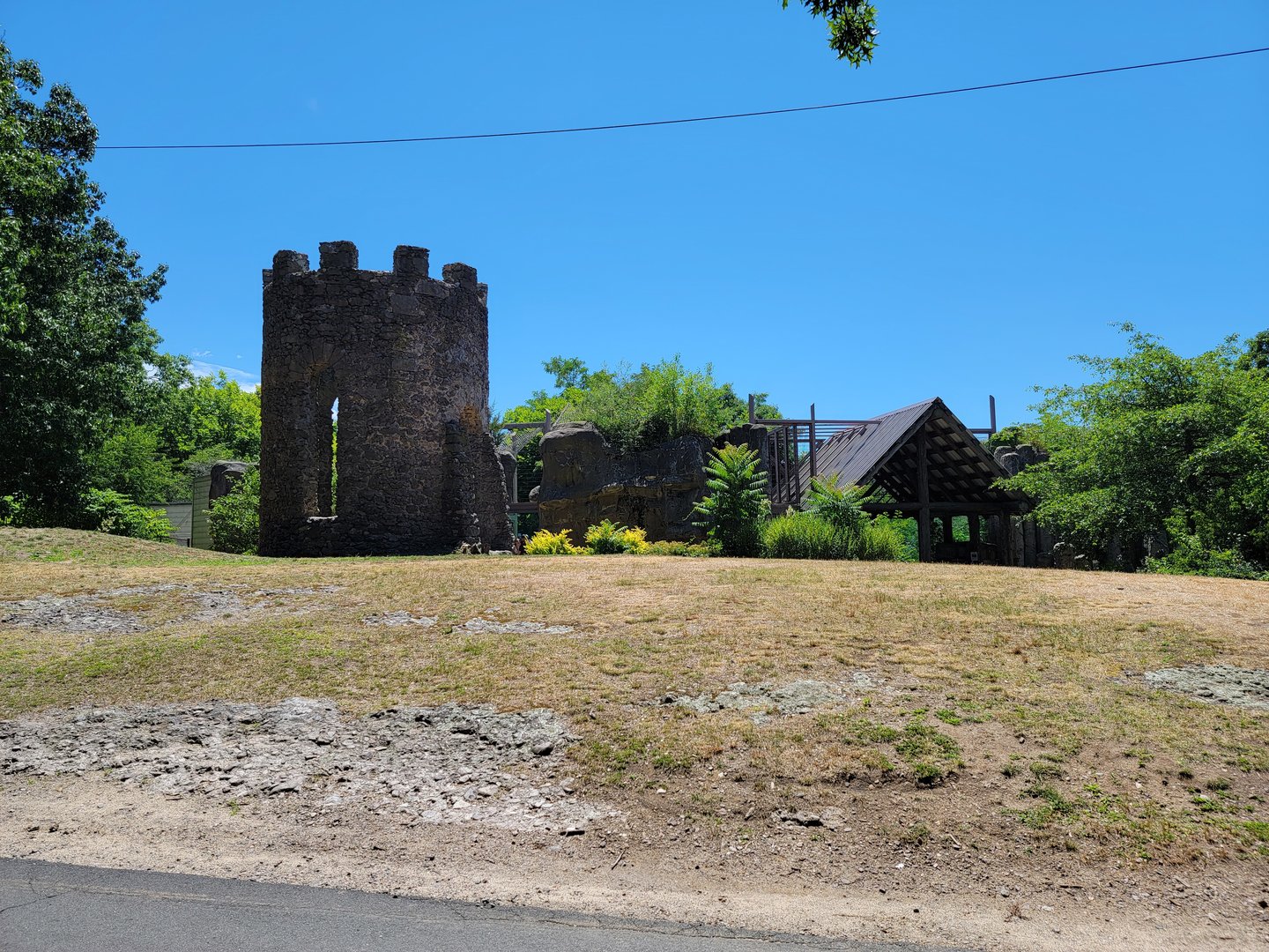 Franklin Park 7/22 - Kalahari Kingdom, upper lion viewing