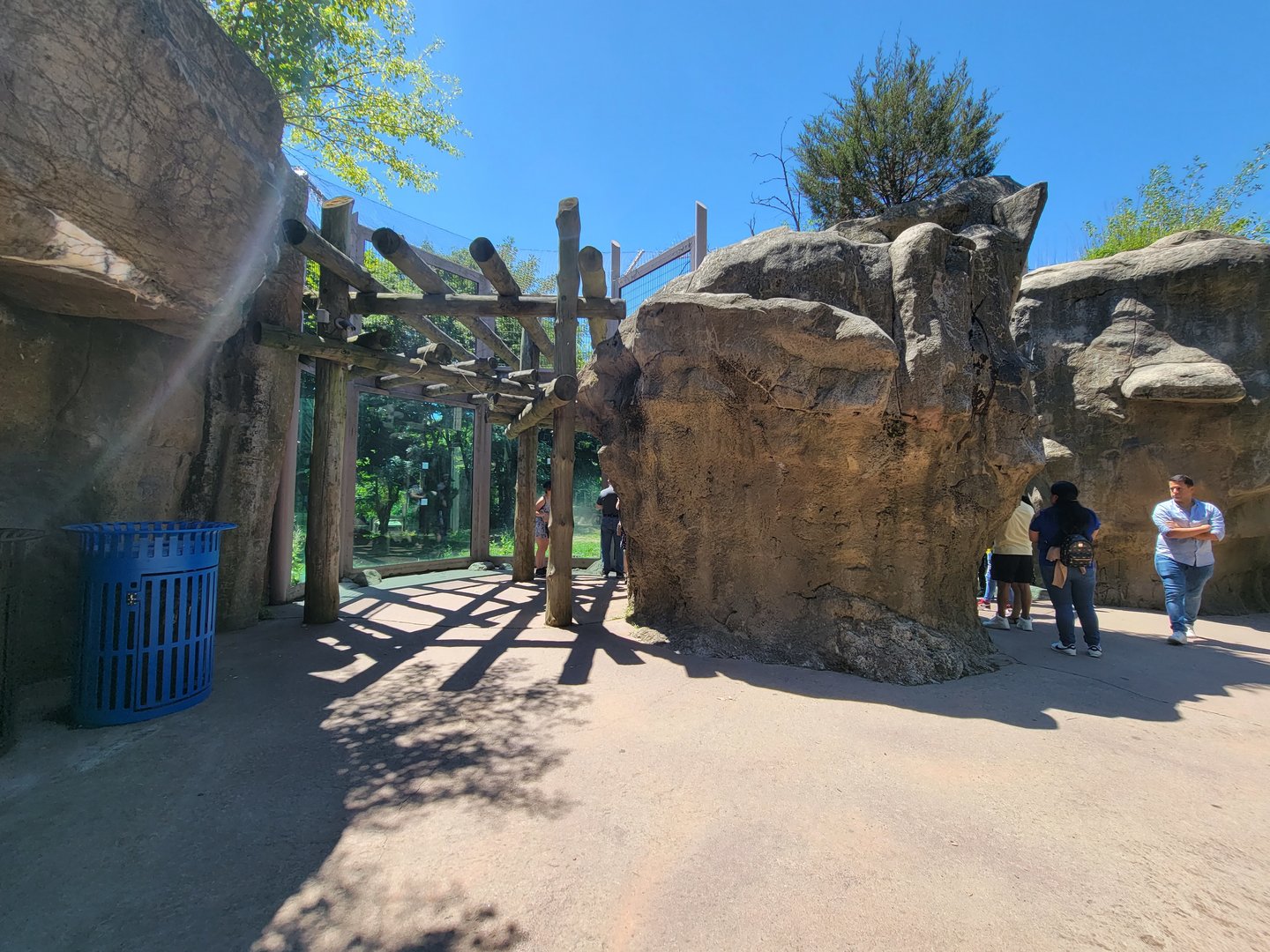 Franklin Park 7/22 - Kalahari Kingdom, upper lion viewing