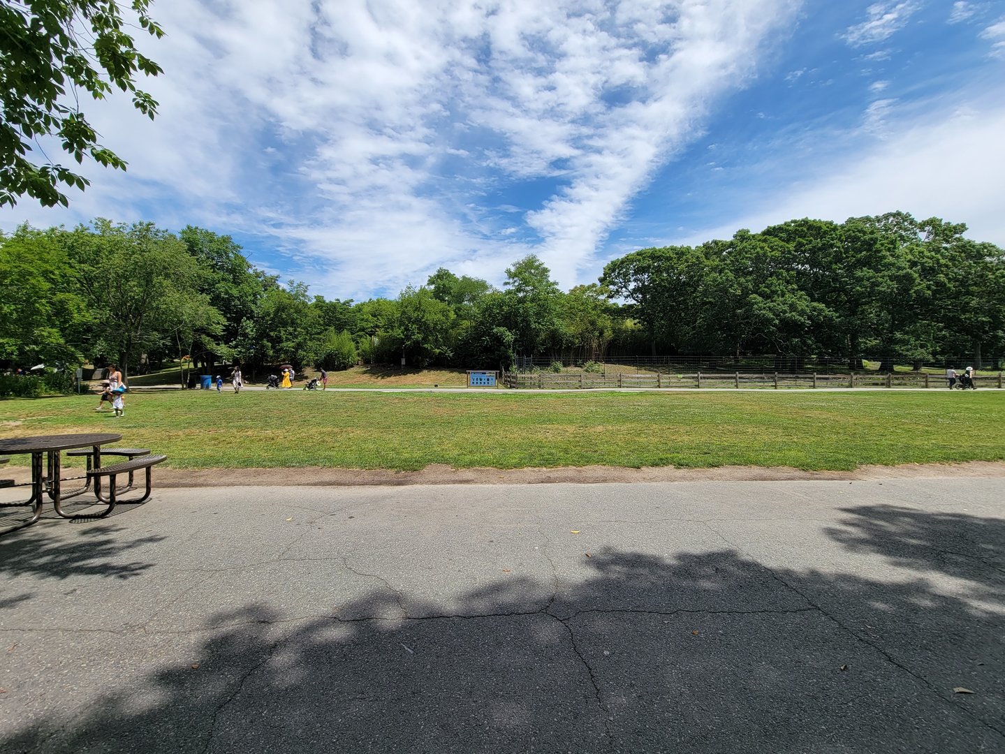 Franklin Park 7/22 - large expanse of nothing