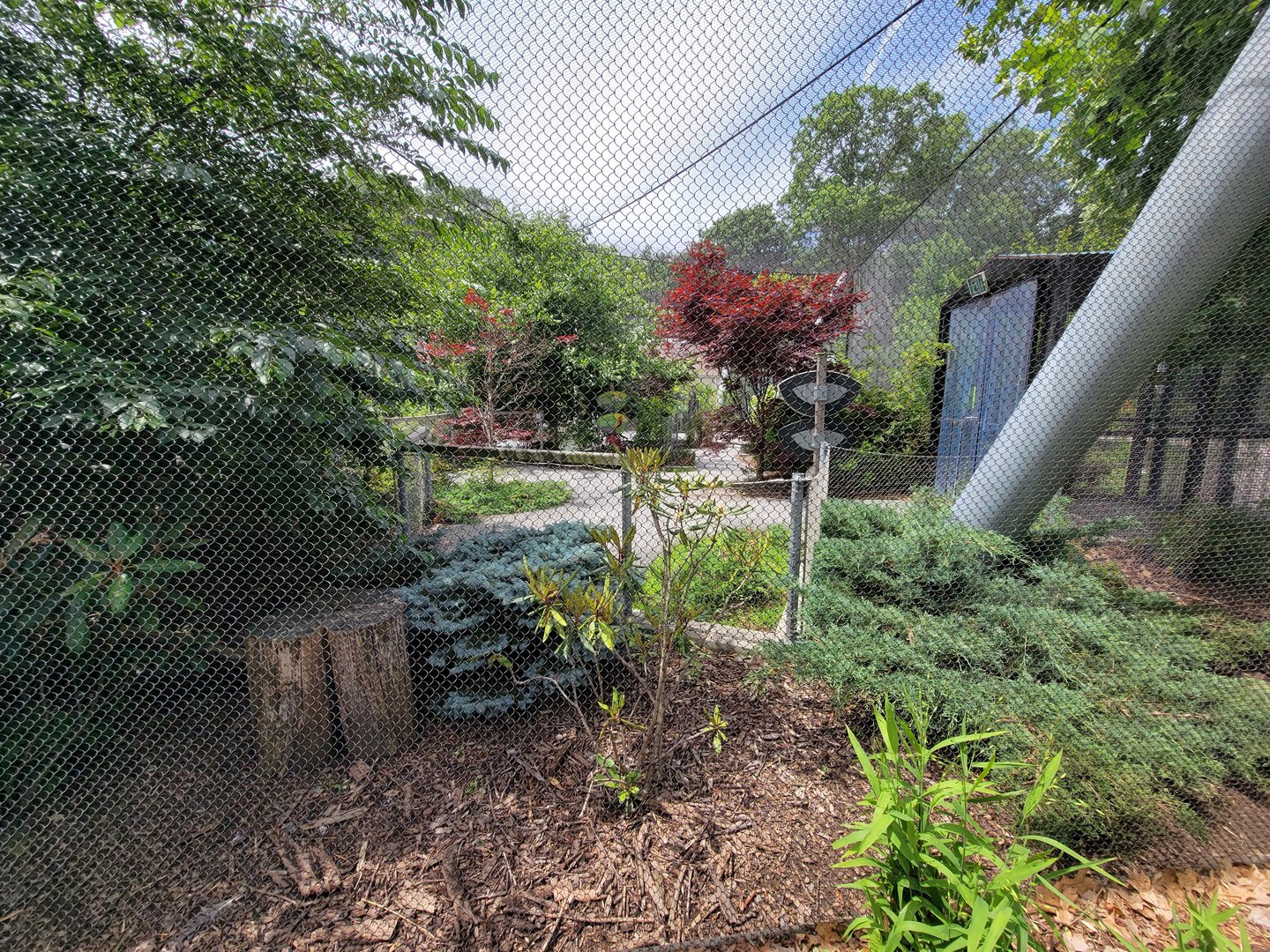 Franklin Park 7/22 - Nature's Neighborhoods aviary, closed because of bird flu
