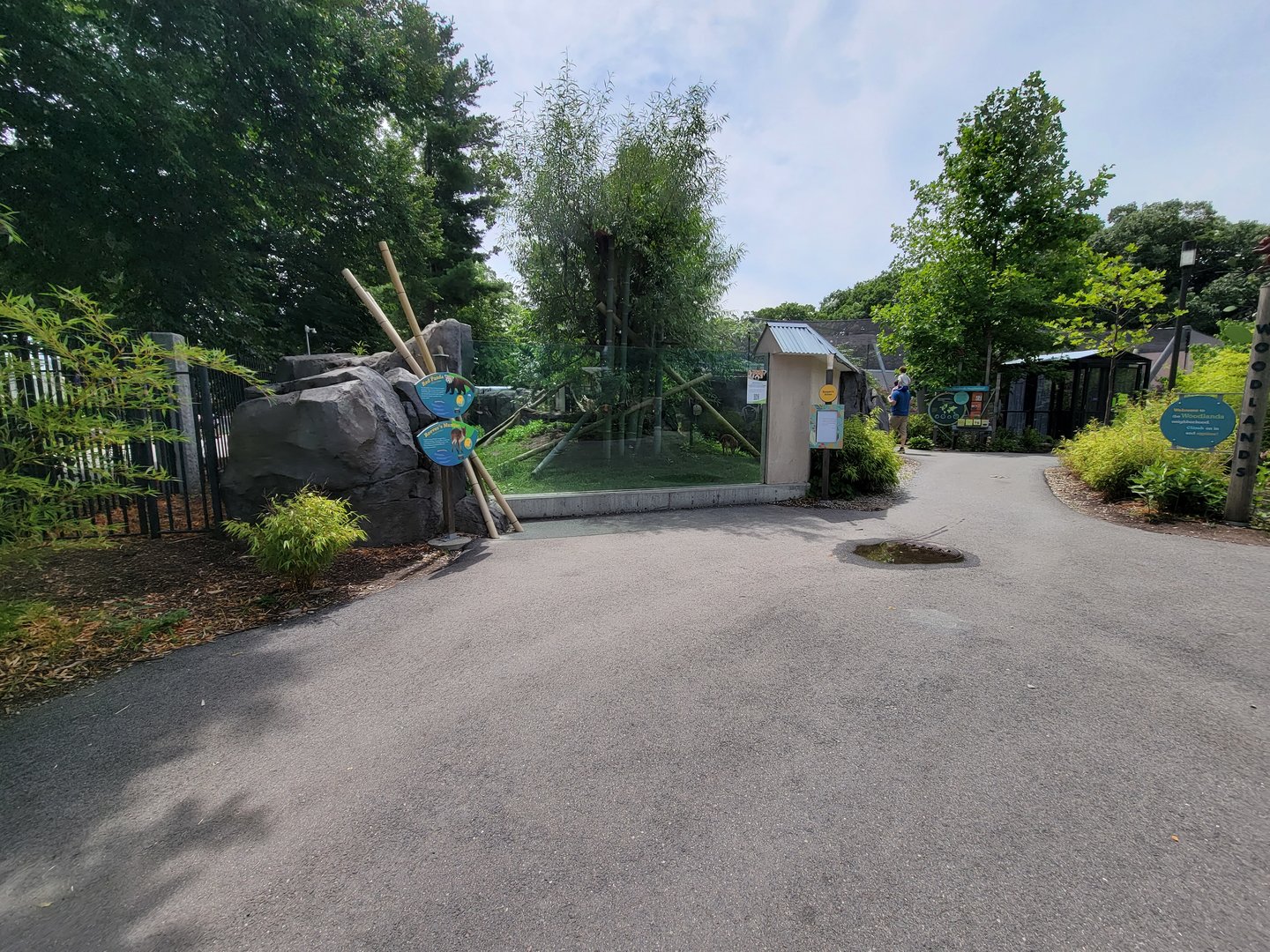 Franklin Park 7/22 - Nature's Neighborhoods, red panda/reeve's muntjac