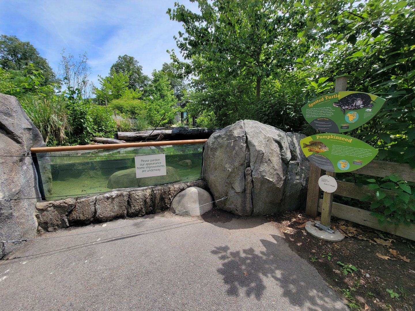 Franklin Park 7/22 - Nature's Neighborhoods, spotted turtle and pumpkinseed, closed for cleaning
