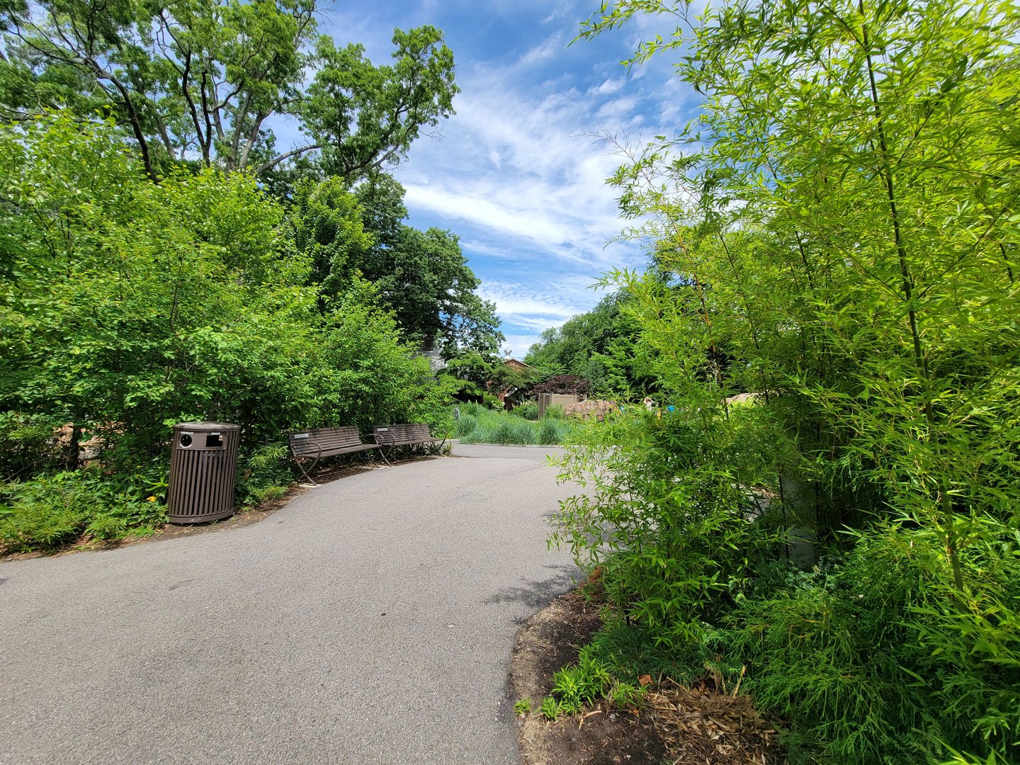 Franklin Park 7/22 - Nature's Neighborhoods wetlands
