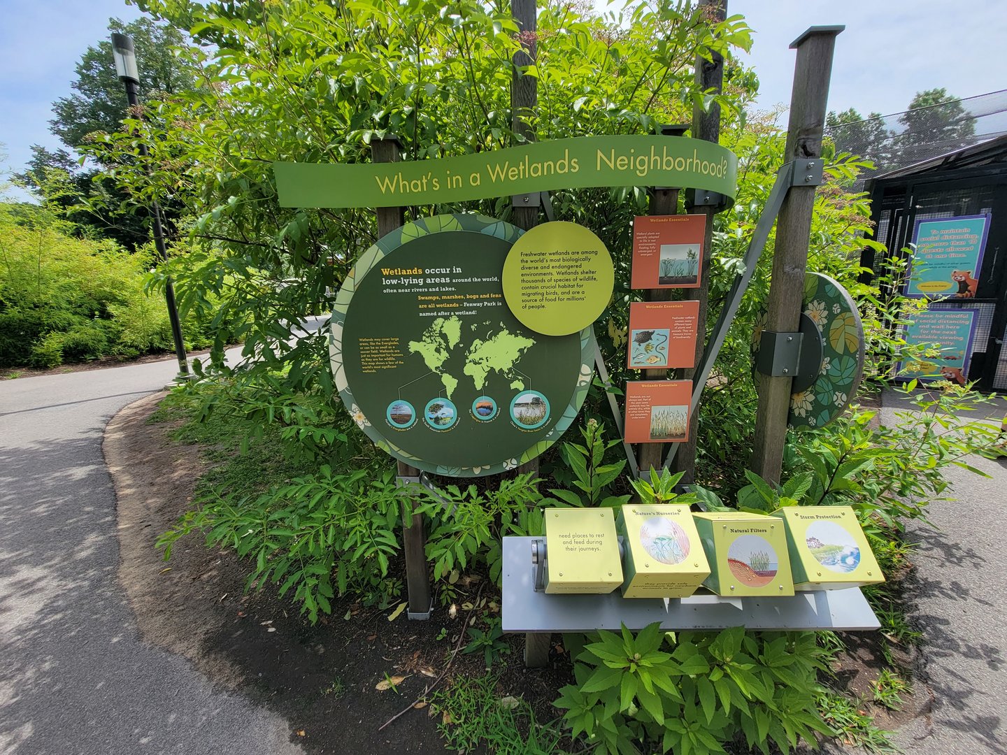 Franklin Park 7/22 - Nature's Neighborhoods, What's in a wetlands neighborhood?