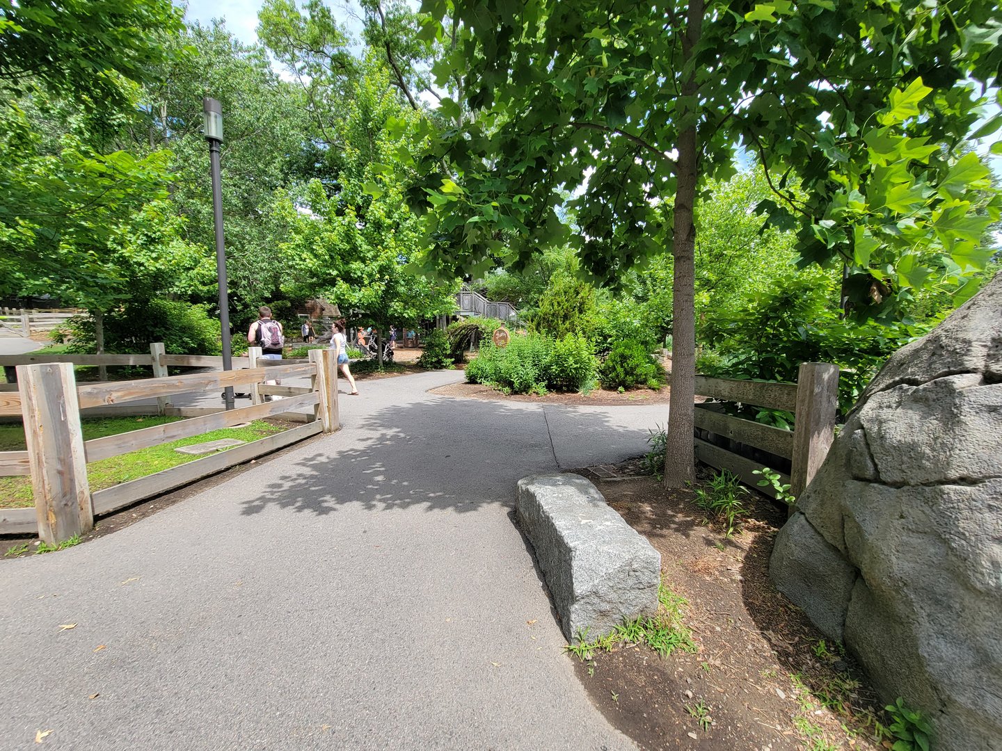 Franklin Park 7/22 - Nature's Neighborhoods
