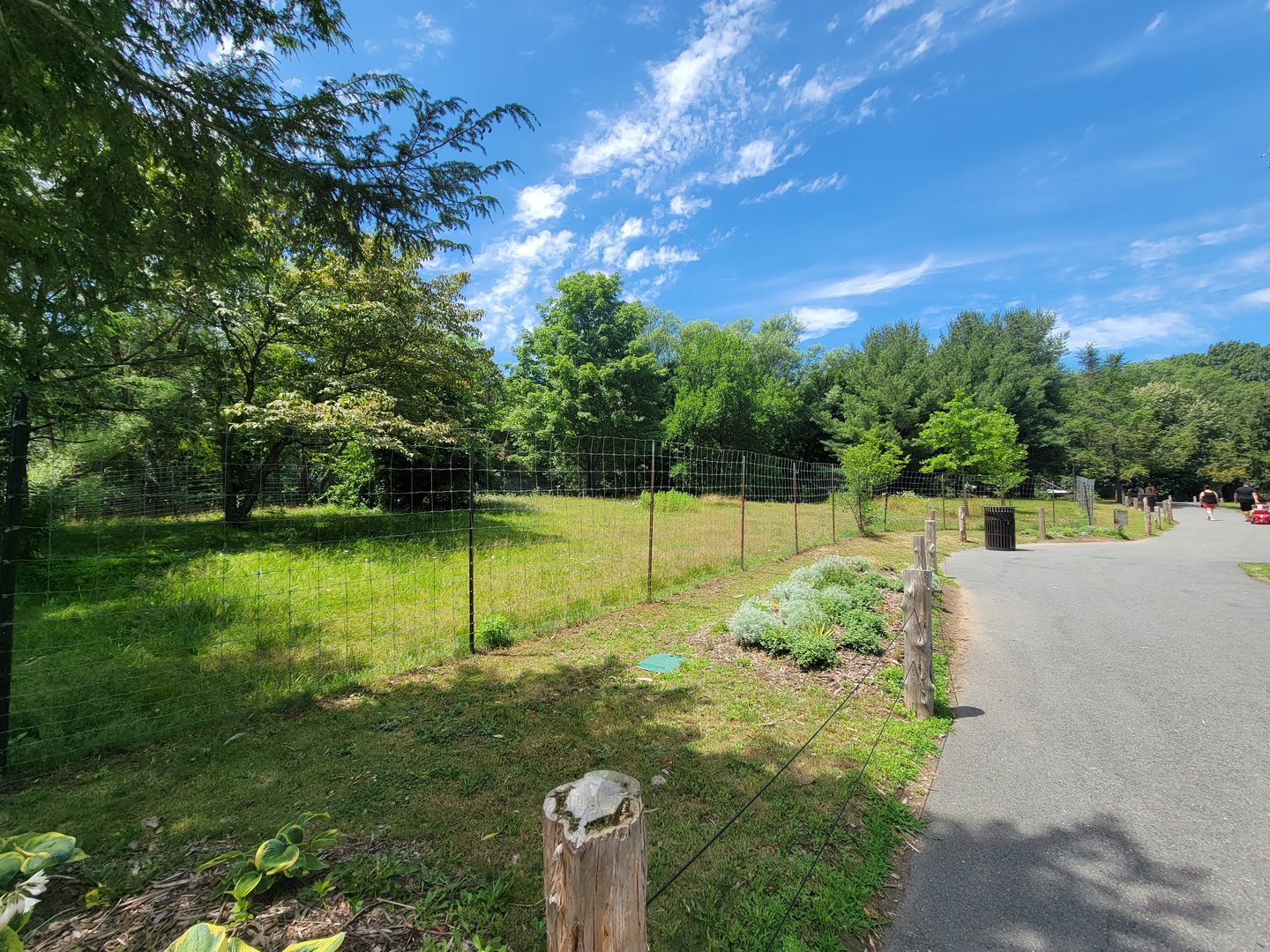 Franklin Park 7/22 - Outback Trail, red kangaroos and emu
