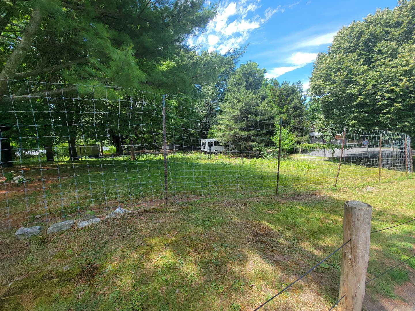 Franklin Park 7/22 - Outback Trail, red kangaroos and emu