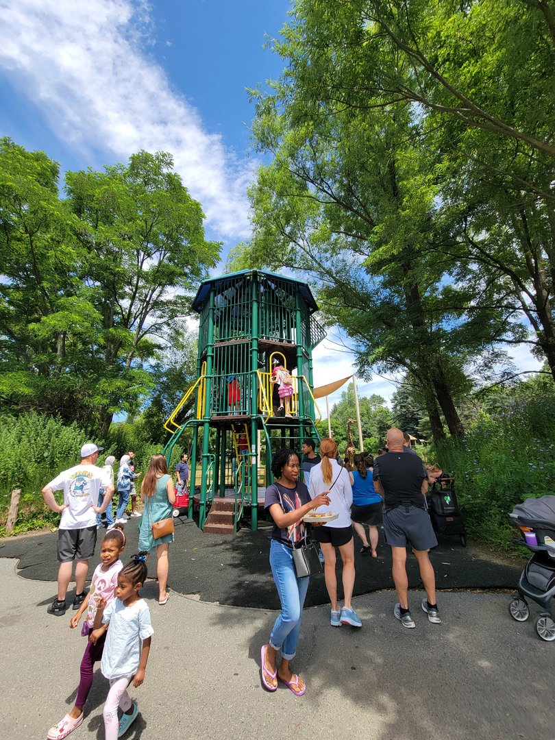 Franklin Park 7/22 - Play area right in front of the main Masai giraffe viewing spot