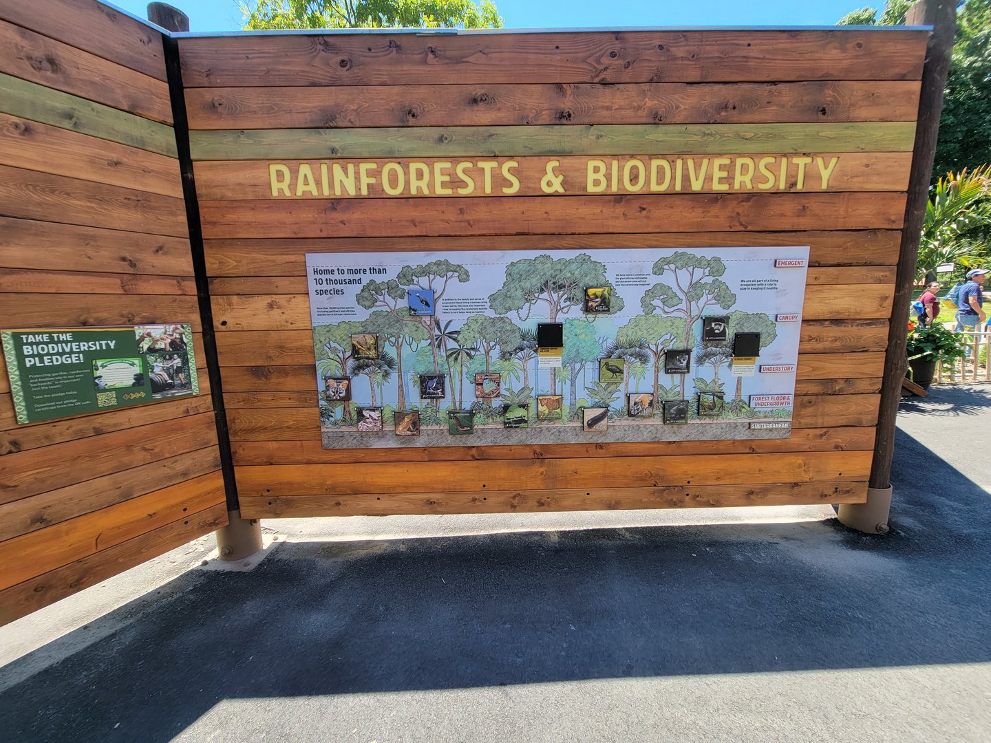 Franklin Park 7/22 - Rainforests & Biodiversity