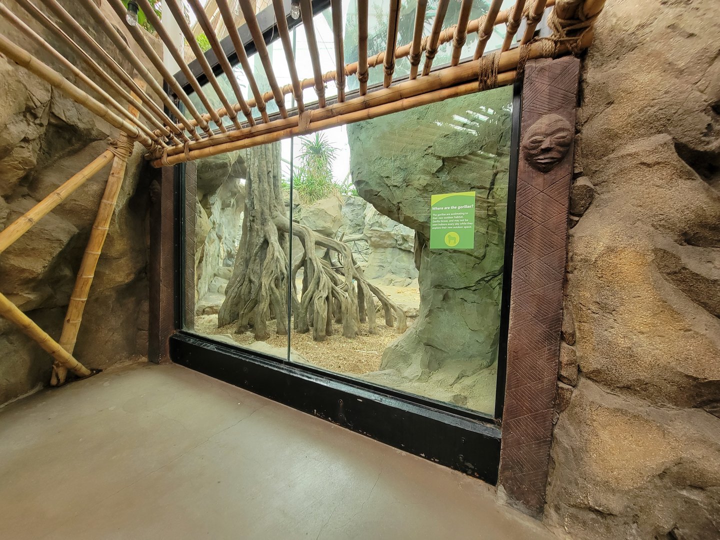 Franklin Park 7/22 - Tropical Forest, another gorilla window