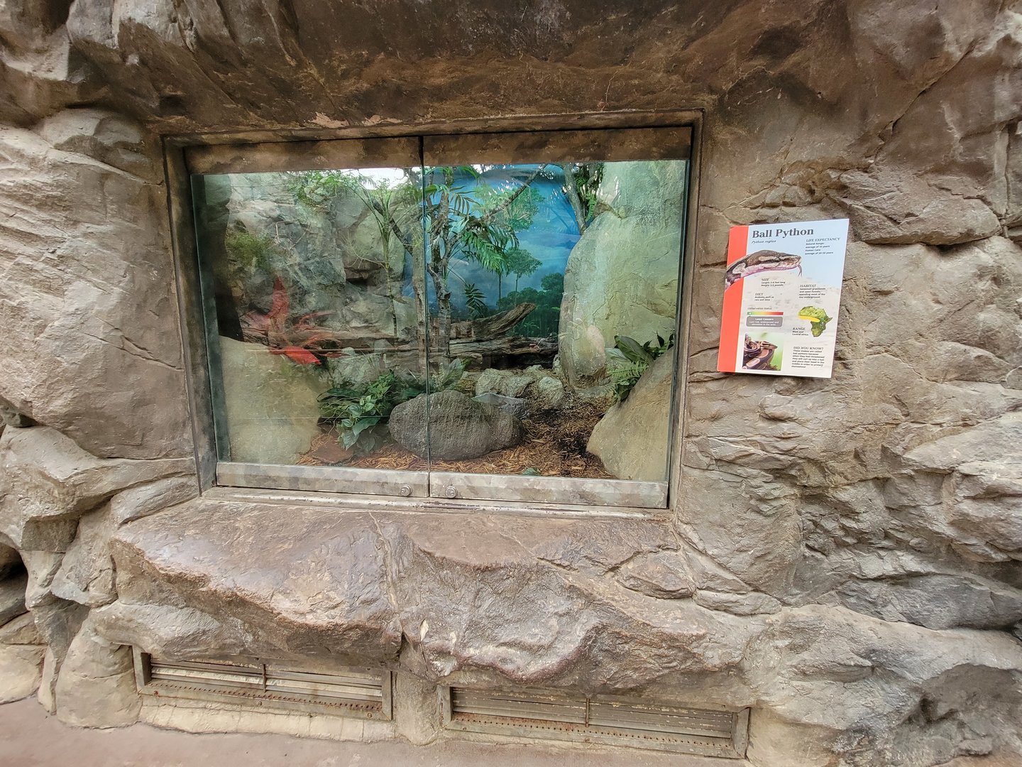 Franklin Park 7/22 - Tropical Forest, ball python