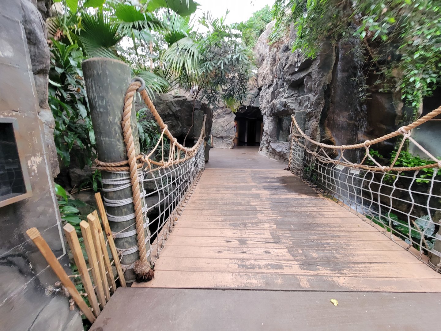 Franklin Park 7/22 - Tropical Forest, bridge