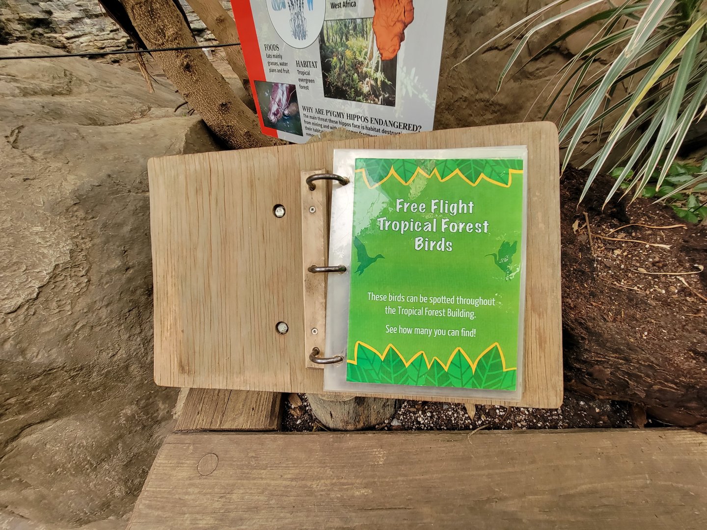 Franklin Park 7/22 - Tropical Forest, Free Flight Birds book