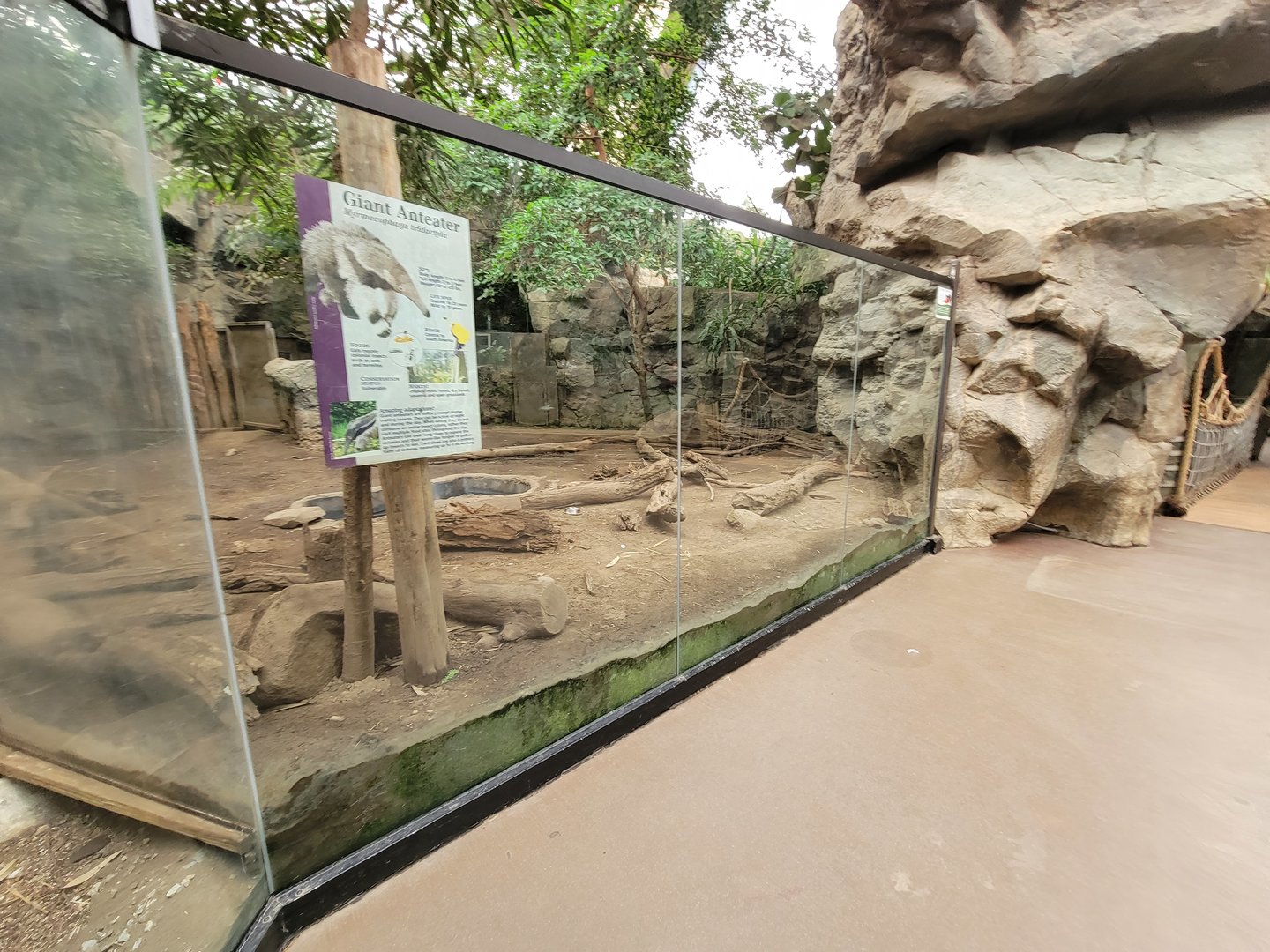 Franklin Park 7/22 - Tropical Forest, giant anteater