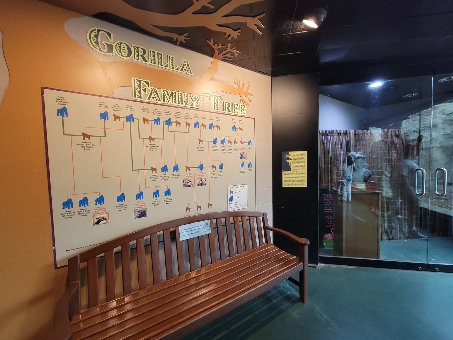 Franklin Park 7/22 - Tropical Forest, Gorilla family tree