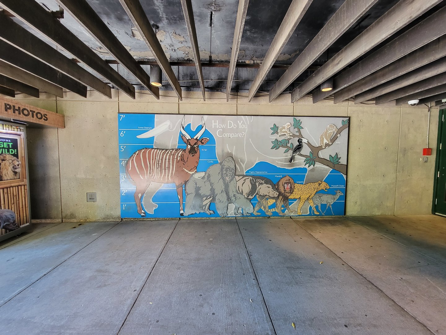 Franklin Park 7/22 - Tropical Forest, how do you compare?