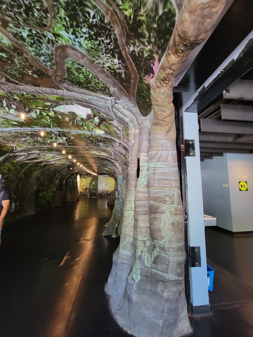 Franklin Park 7/22 - Tropical Forest, inside entrance