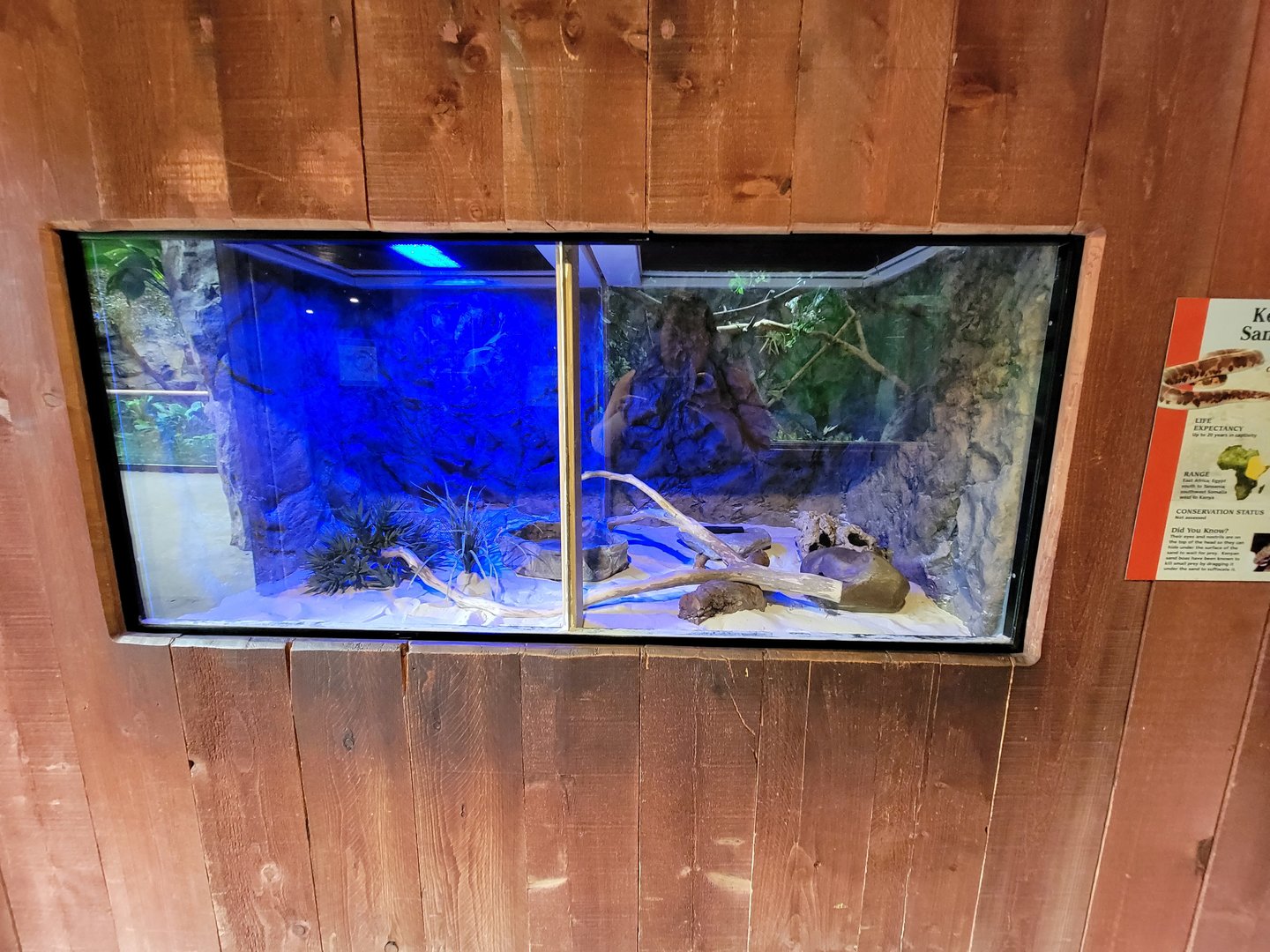 Franklin Park 7/22 - Tropical Forest, Kenyan sand boa