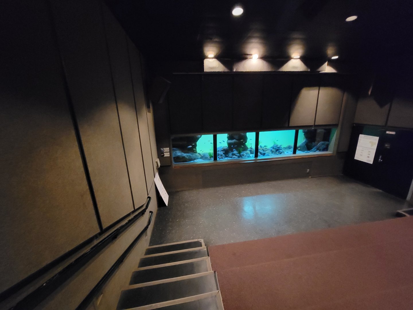 Franklin Park 7/22 - Tropical Forest, Malawi cichlids