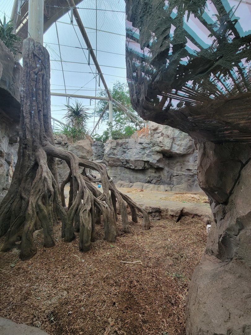 Franklin Park 7/22 - Tropical Forest, more of the gorilla area