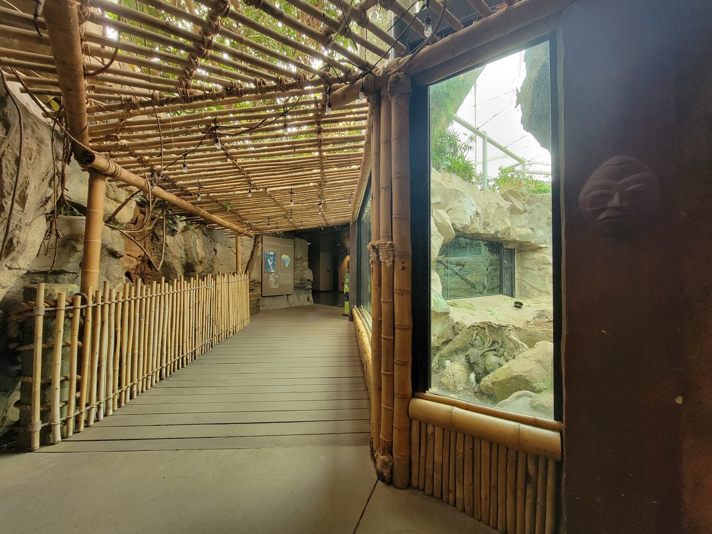 Franklin Park 7/22 - Tropical Forest path