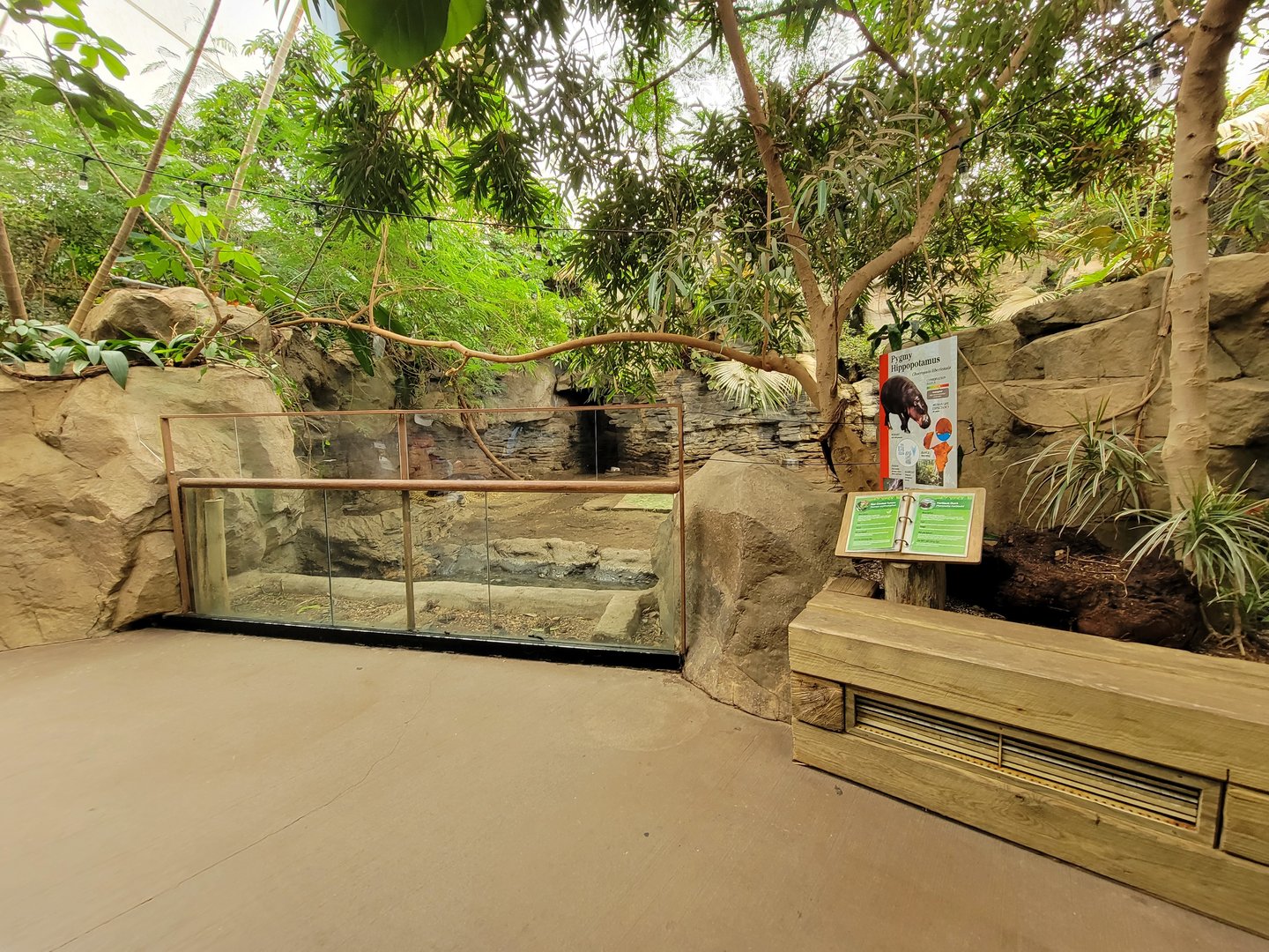 Franklin Park 7/22 - Tropical Forest, pygmy hippo