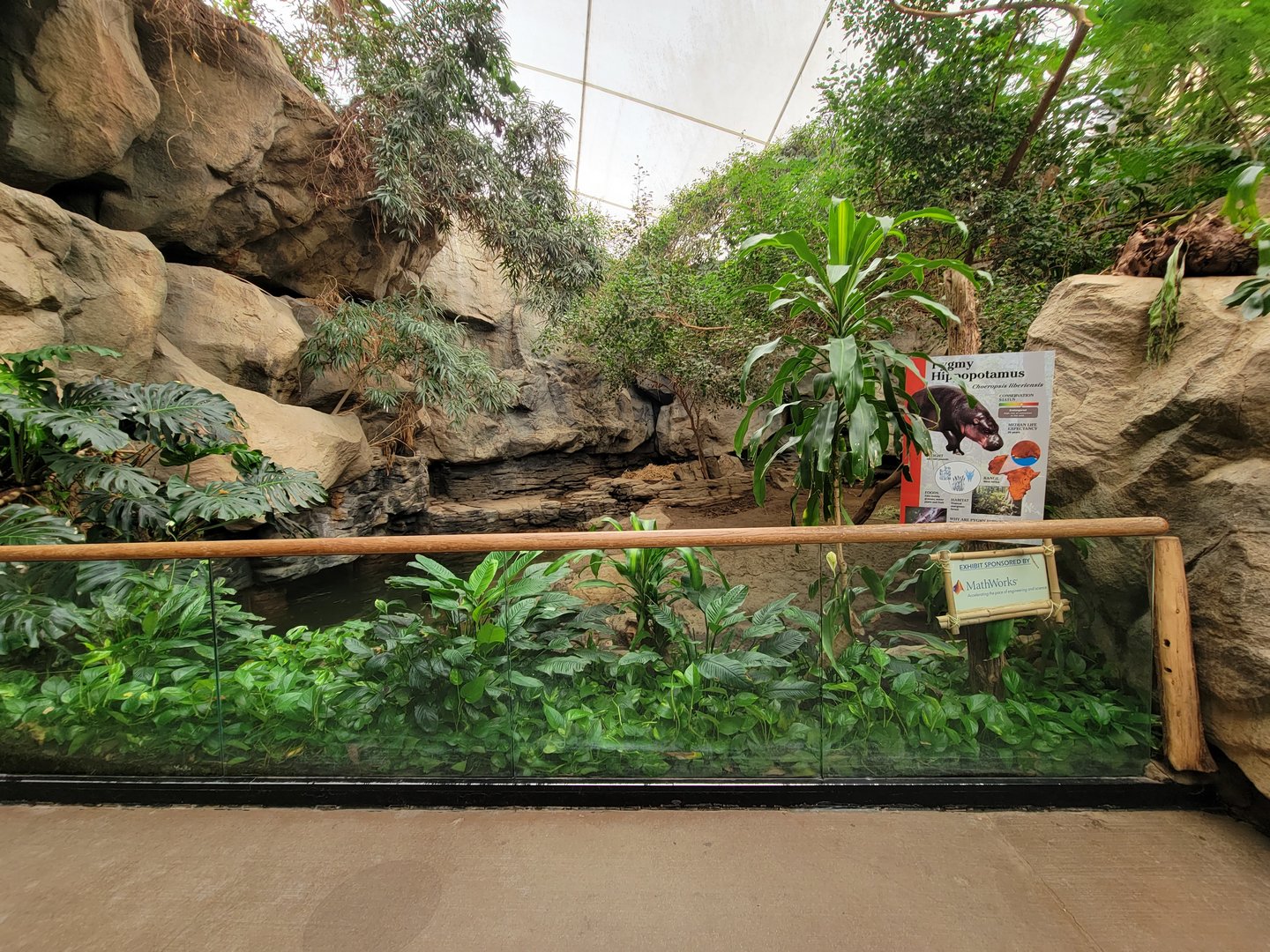 Franklin Park 7/22 - Tropical Forest, second pygmy hippo exhibit