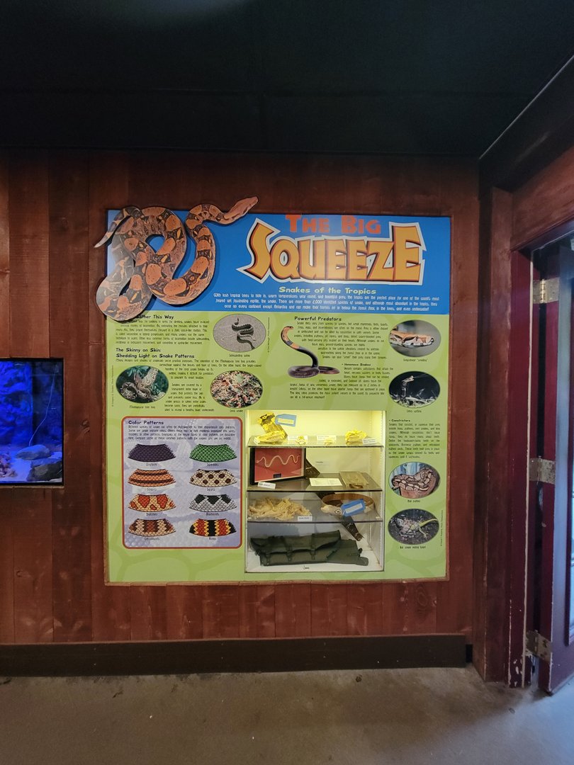 Franklin Park 7/22 - Tropical Forest, Snakes of the Tropics info