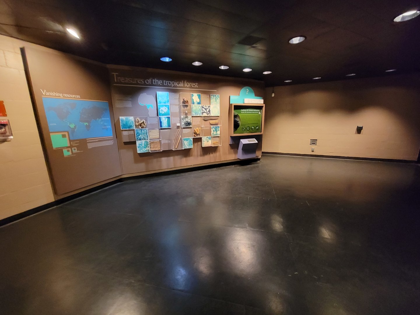 Franklin Park 7/22 - Tropical Forest, Treasures of the tropical forest