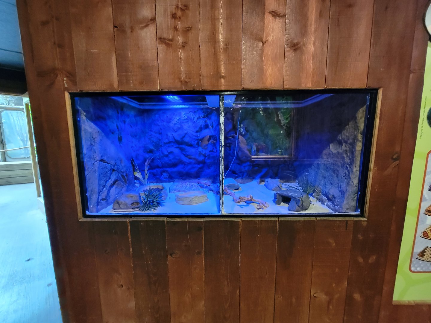 Franklin Park 7/22 - Tropical Forest, unsigned, empty?