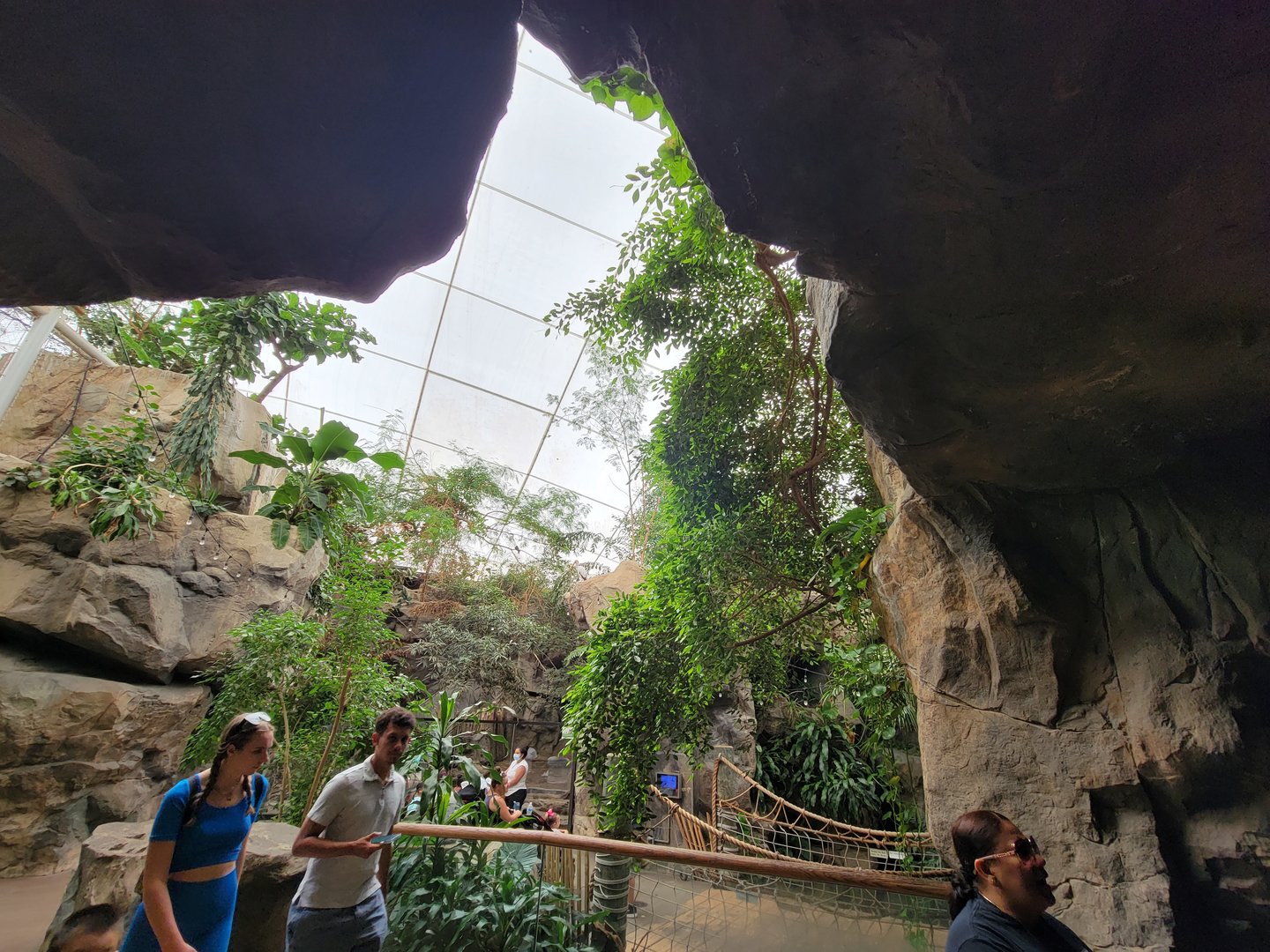 Franklin Park 7/22 - Tropical Forest