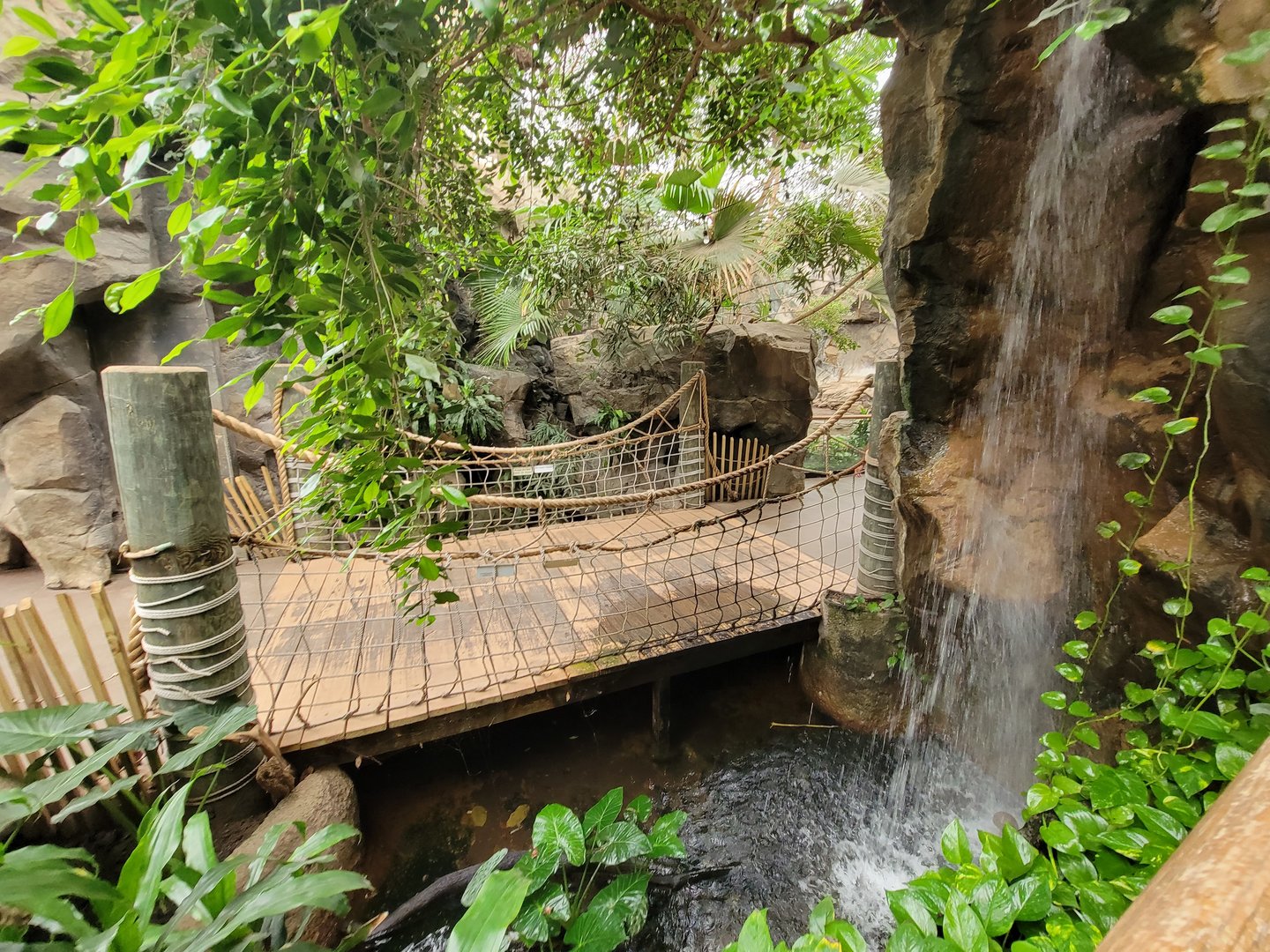 Franklin Park 7/22 - Tropical Forest