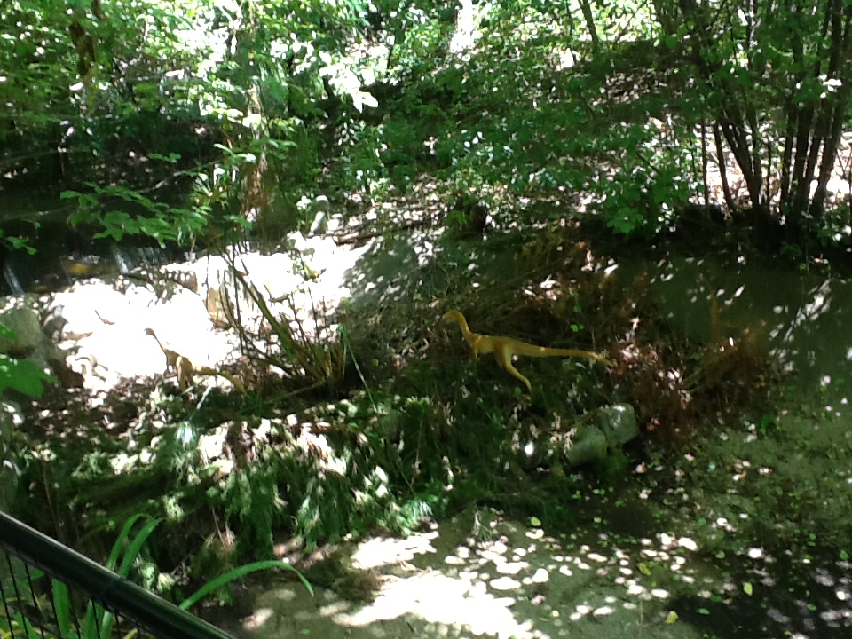 Franklin Park Zoo - Compsognathus
