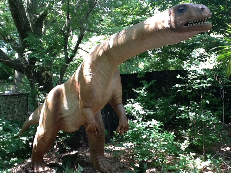 Franklin Park Zoo - Massospondylus