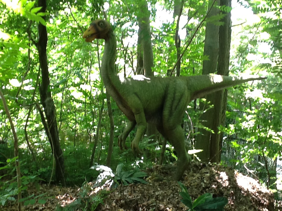 Franklin Park Zoo - Ornithomimus