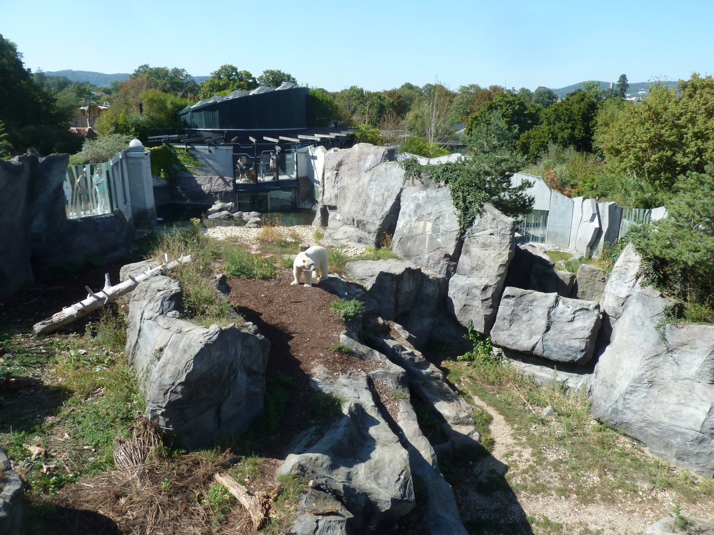 Franz Joseph Land - Main polar bear enclosure