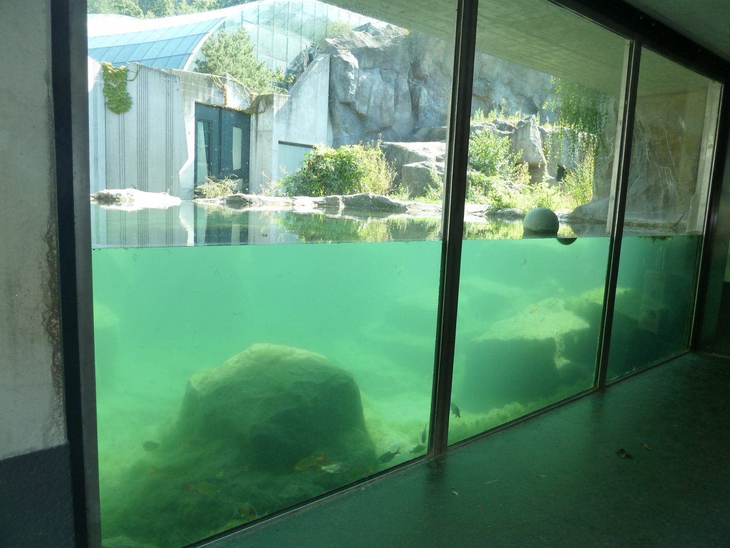 Franz Joseph Land - Polar dome visitors center - Second polar bear enclosure - Underwater viewing