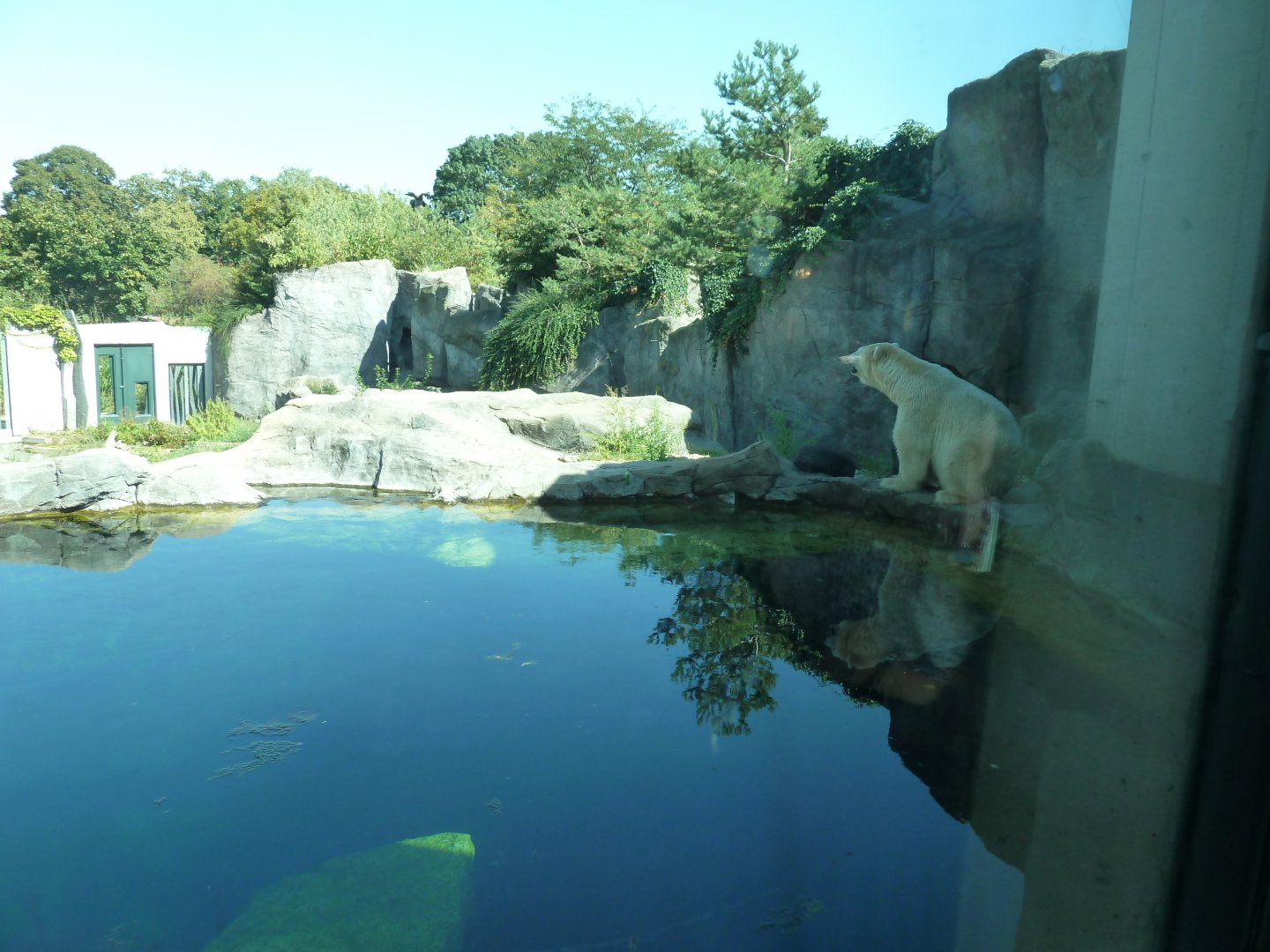 Franz Joseph Land - Polar dome visitors center - Viewing point on main polar bear enclosure