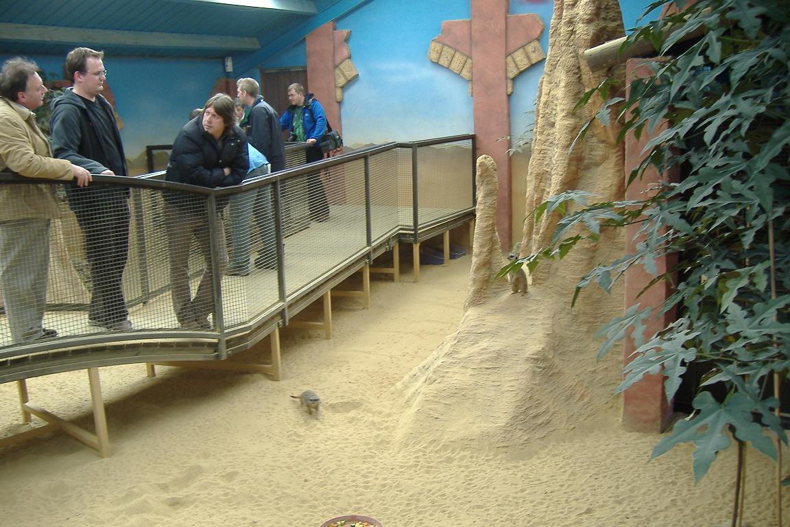 freakshow in the Drayton Manor Meertkat house