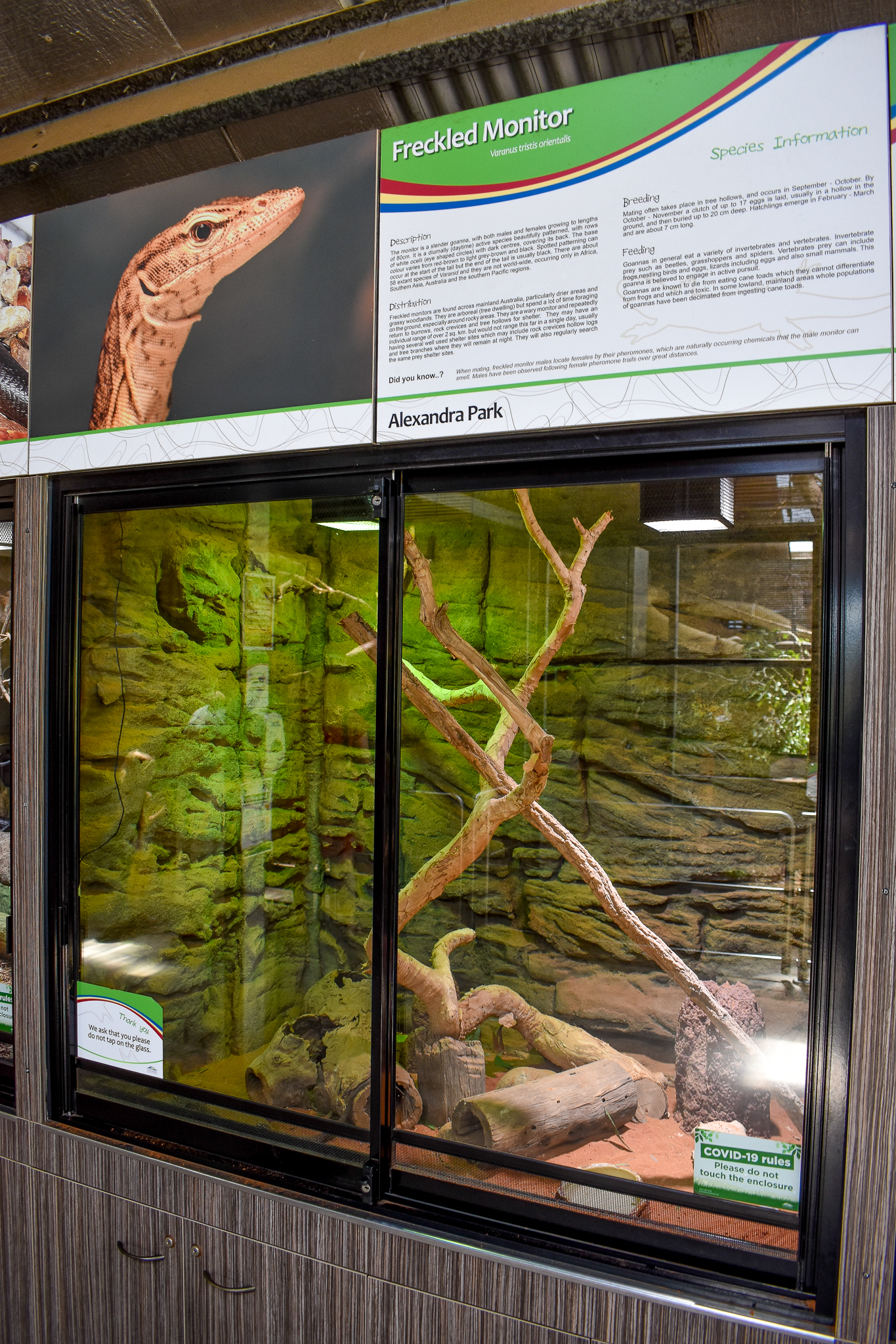 Freckled Monitor Enclosure