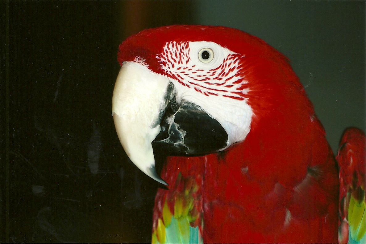 Fred, 9th September 2011