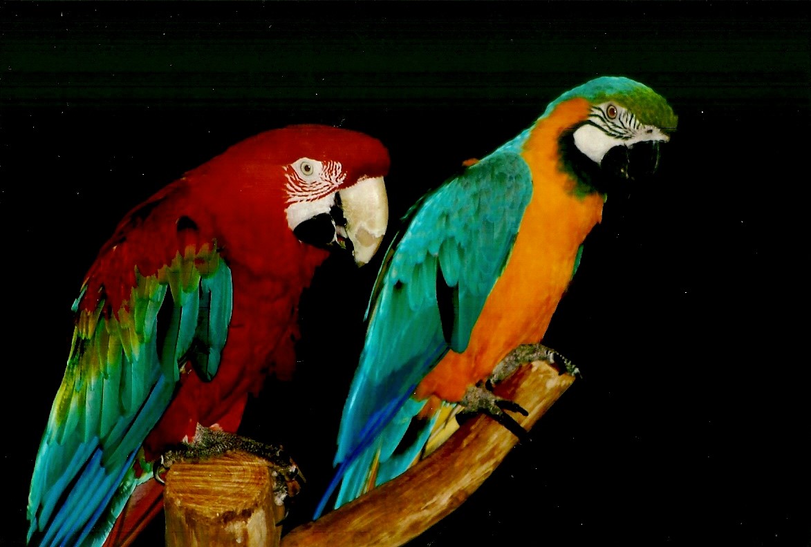 Fred and Tyler, September 2013