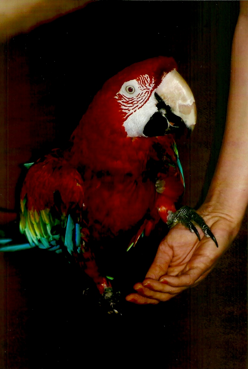 Fred, September 2013