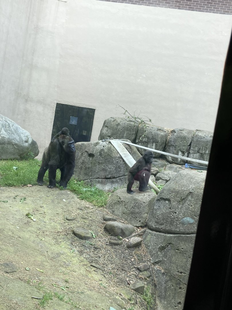 Freddy,Jameela,and Kayembe