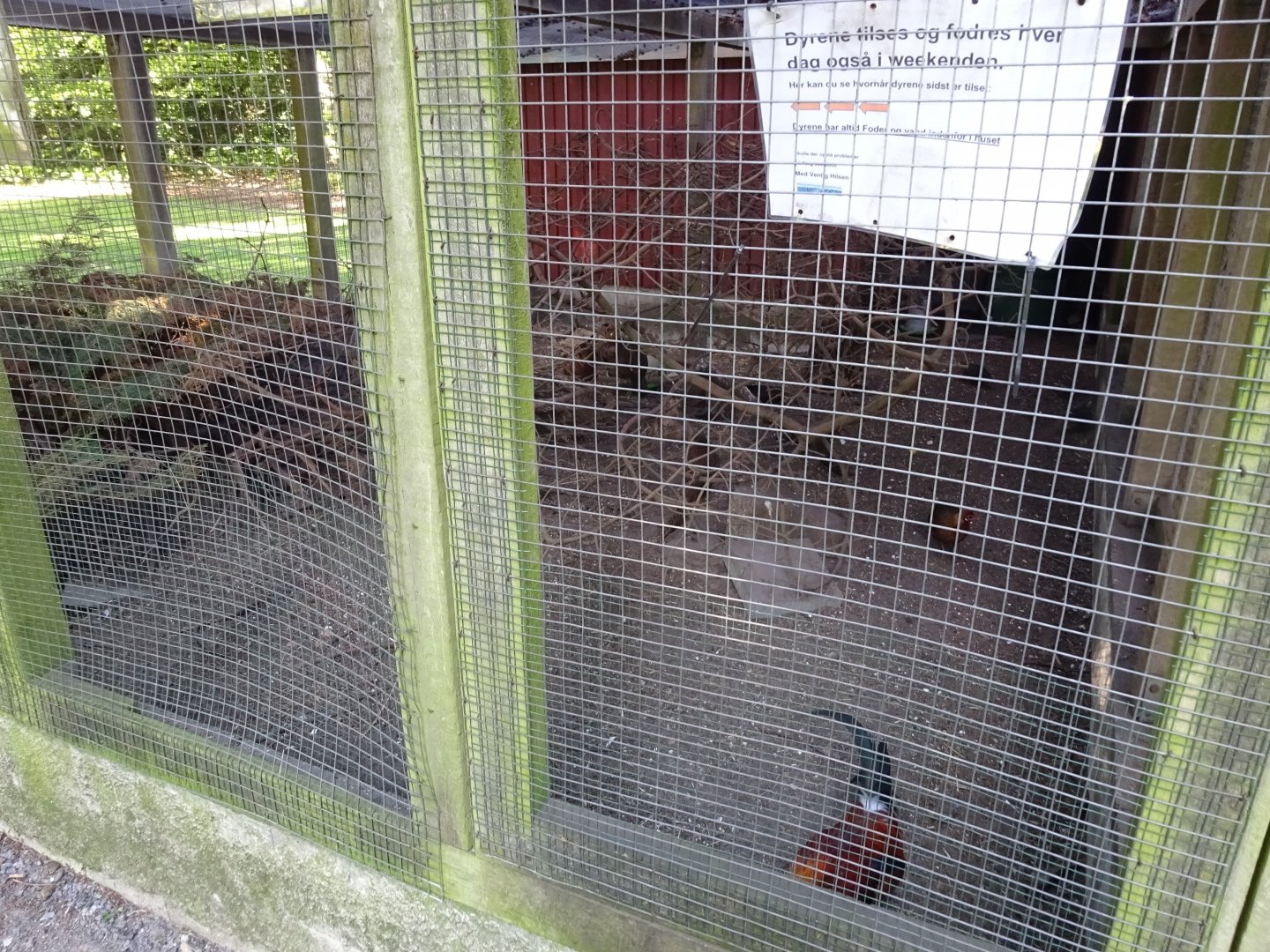 Frederikshavn Plantage - Mixed aviary