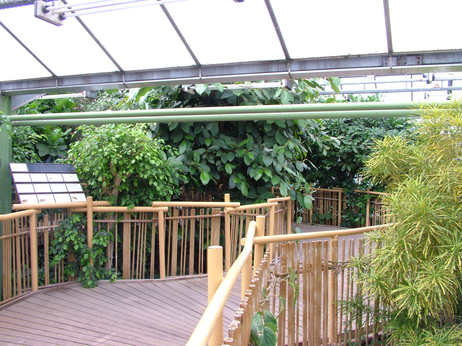 Free-flight Area at Tierpark Berlin, 01/09/11