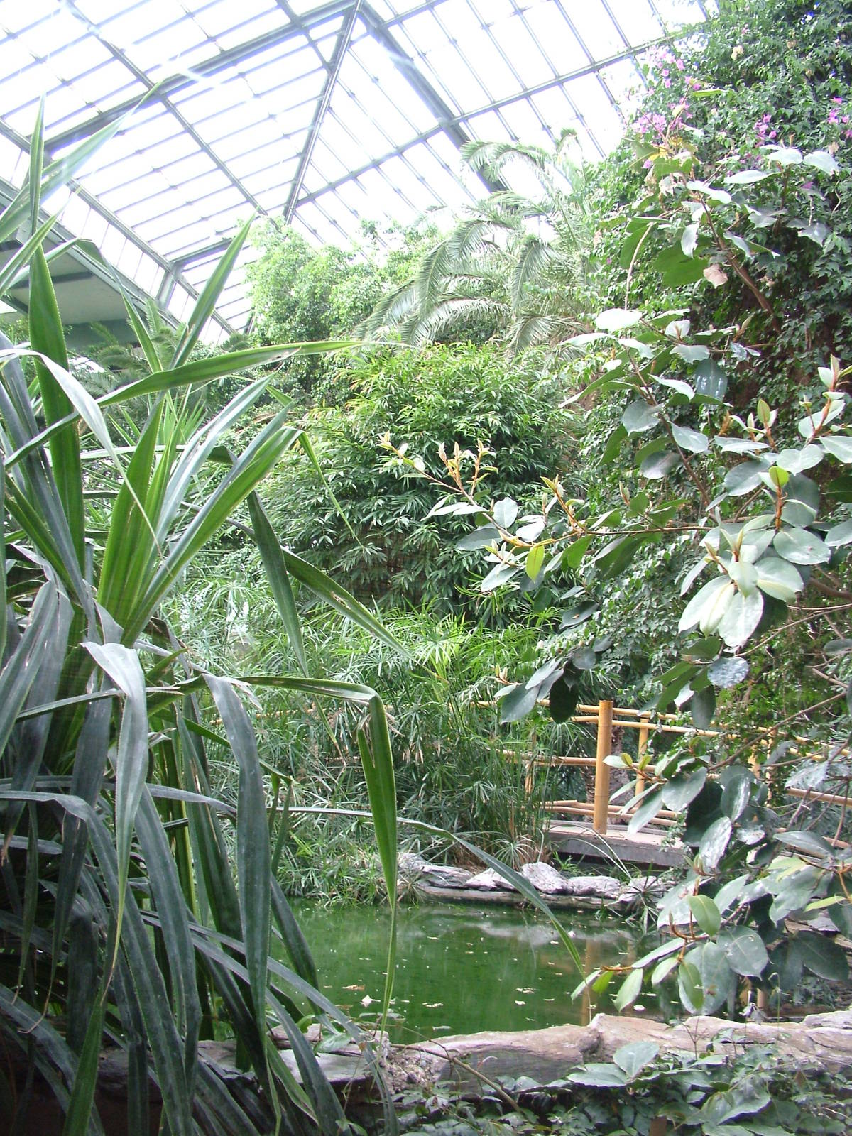 Free-flight Area at Tierpark Berlin, 01/09/11